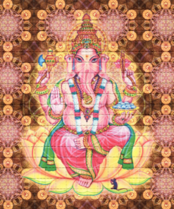 Ganesh Lsd