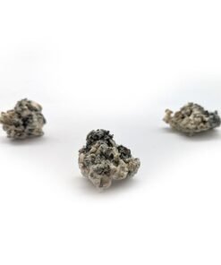 Hydra Magic Mushroom