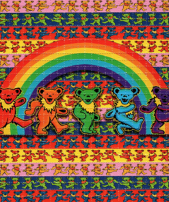Matching Bears Lsd