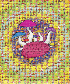 Mushroom Brain Lsd