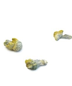 Nutcracker Mushrooms Strain