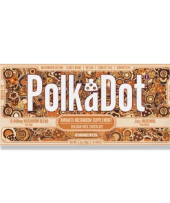 S'mores Fun Chocolate Bar