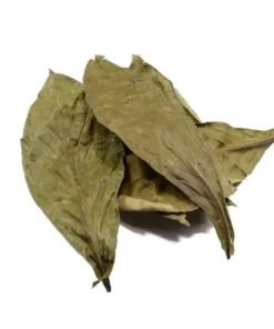 Psychotria Viridis Leaves For Sale