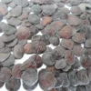 Anadenanthera Peregrina Seeds For Sale